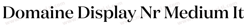 Domaine Display Nr Medium Italic字体转换